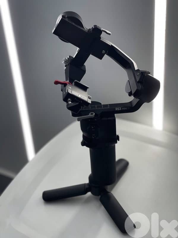 Canon EOS R10 + DJI RS3 Mini Gimbal 6