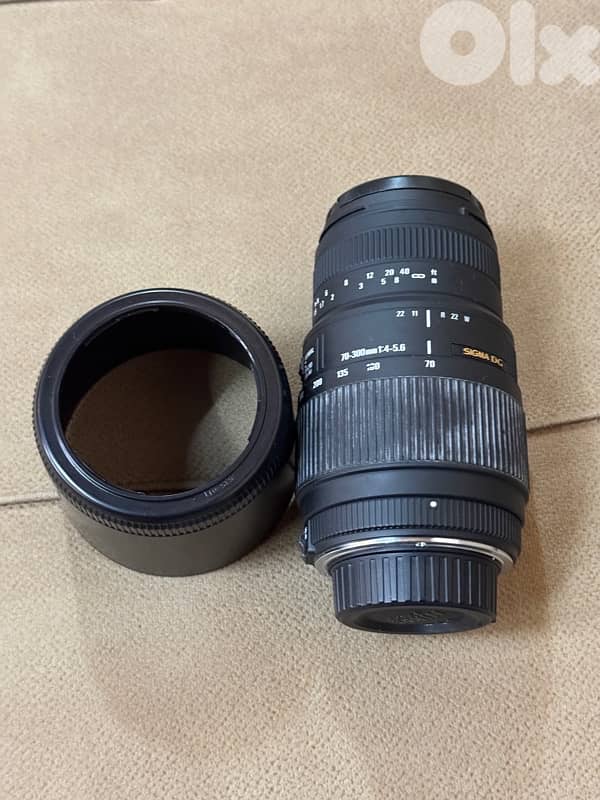 Sigma 70-300 Nikon 1