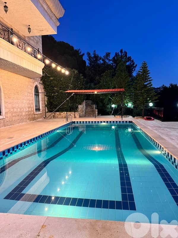 Villa for sale ainab aley - فيلا للبيع عيناب عاليه 0