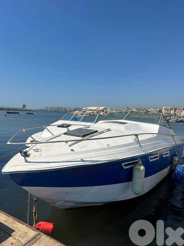Boats with room moteurs suzuki 300 clean + with parking مينا الاوزاعي 3