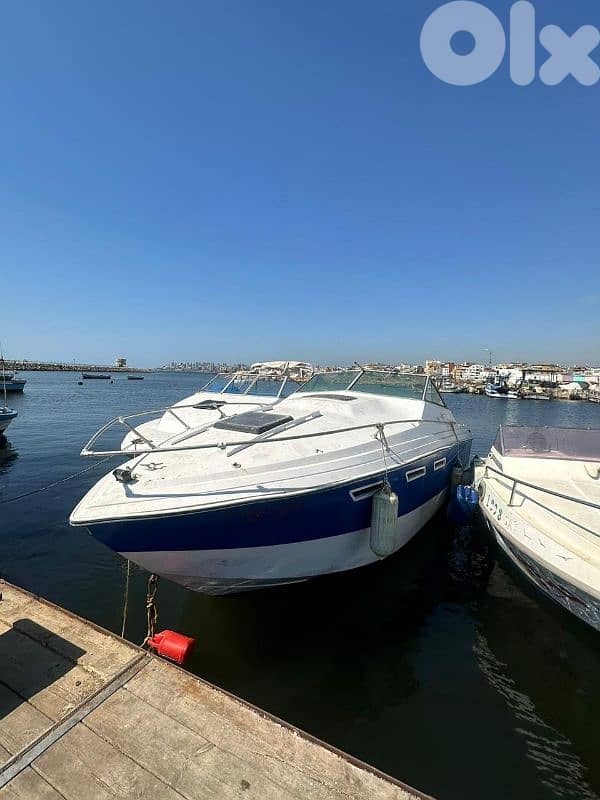 Boats with room moteurs suzuki 300 clean + with parking مينا الاوزاعي 4