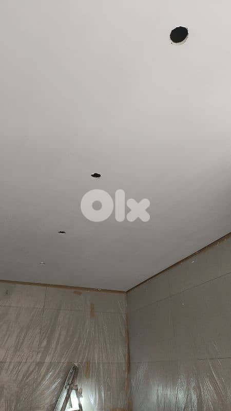 دهان وديكورات داخليه 1