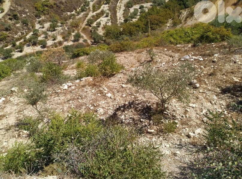 2700 Sqm Land For Sale In Hasbaya / Mimess ارض للبيع في حاصبيا ميمس 1