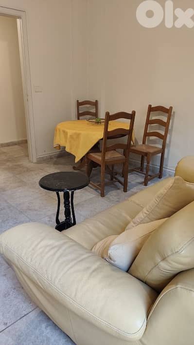shares appartement for 2 persons, (260 dollars each person)