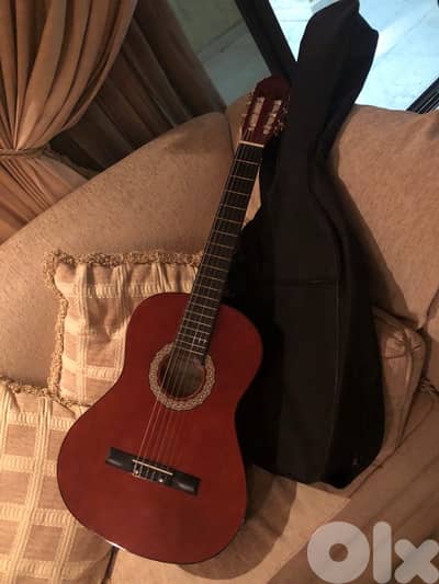 guitar with case
