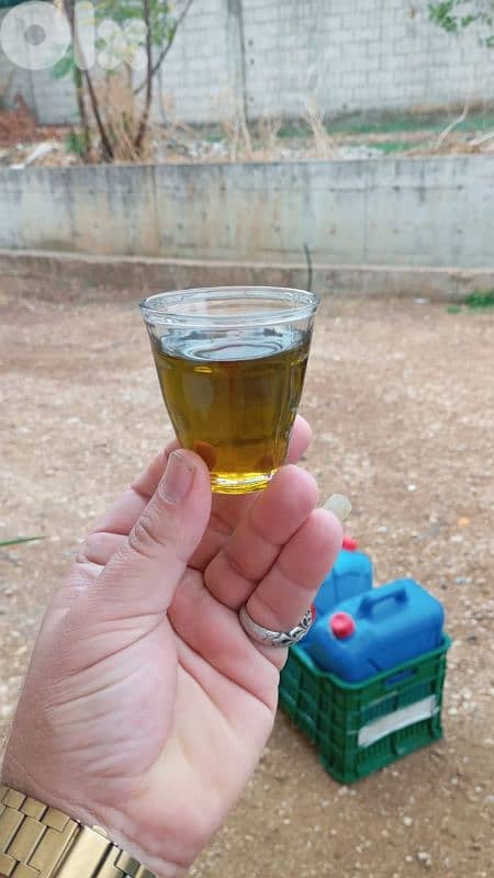 عكار ،السهل 0