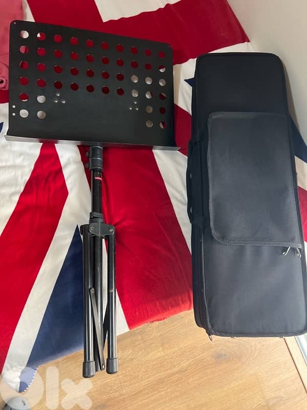 Professional Violin 4/4 class A 4