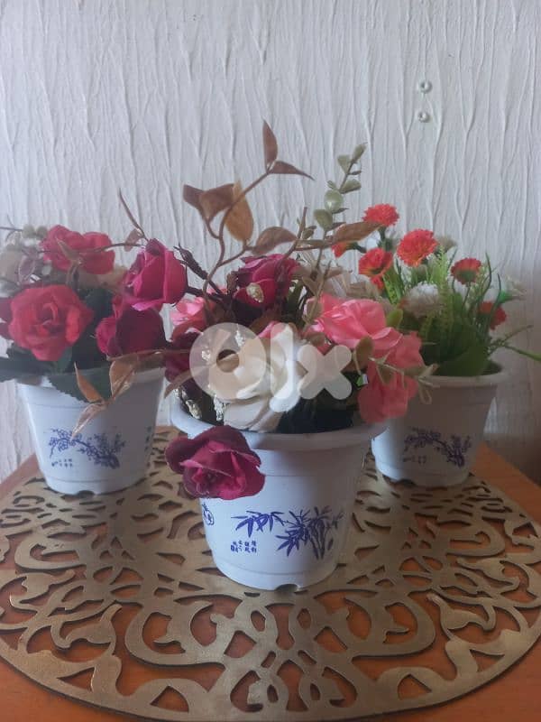 فازات للبيع 0