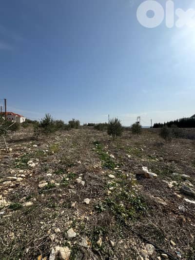 عقار مميز للبيع في البابلية صيدا - Special Land for Sale in Babliyeh