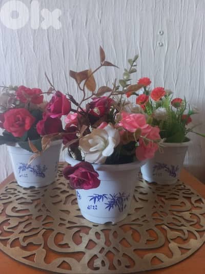 فازات ورد للبيع