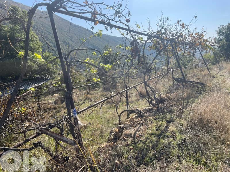 RWB181PK - Land for sale in Ehmej Jbeil 4
