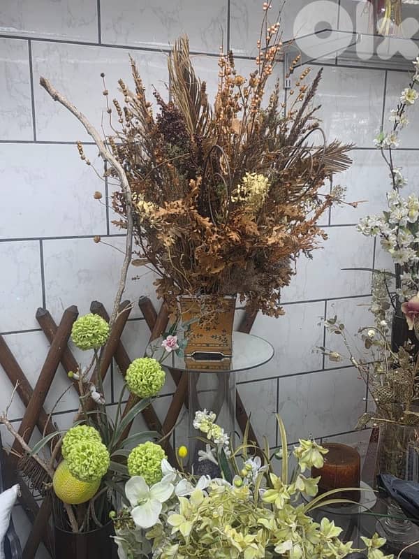 plants, vases , tables…. . ( negotiable prices, asaar jemle) 1