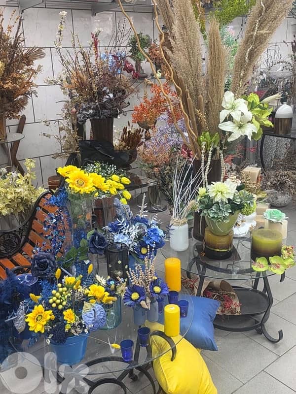 plants, vases , tables…. . ( negotiable prices, asaar jemle) 2