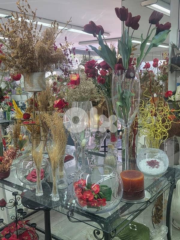 plants, vases , tables…. . ( negotiable prices, asaar jemle) 3