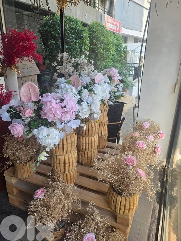 plants, vases , tables…. . ( negotiable prices, asaar jemle) 4