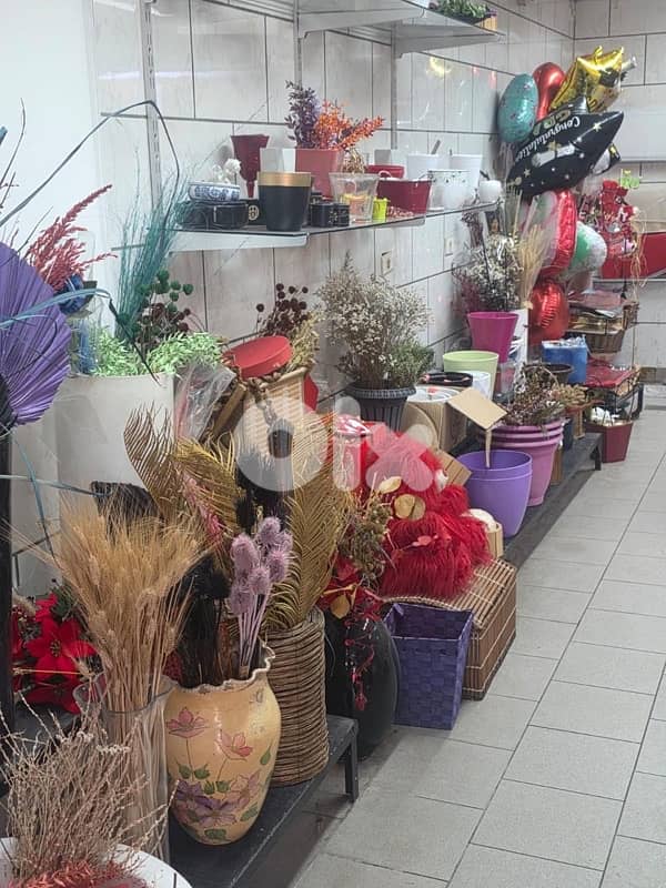 plants, vases , tables…. . ( negotiable prices, asaar jemle) 5