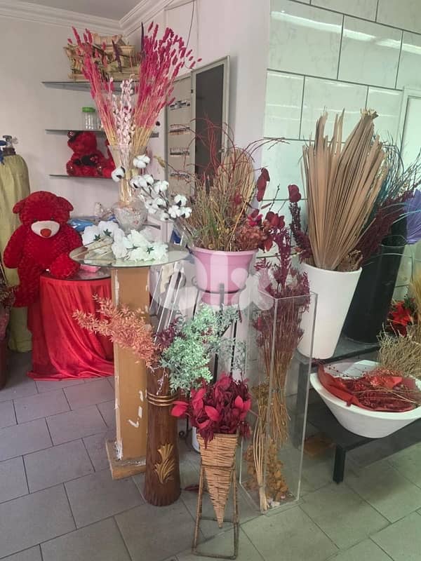 plants, vases , tables…. . ( negotiable prices, asaar jemle) 6