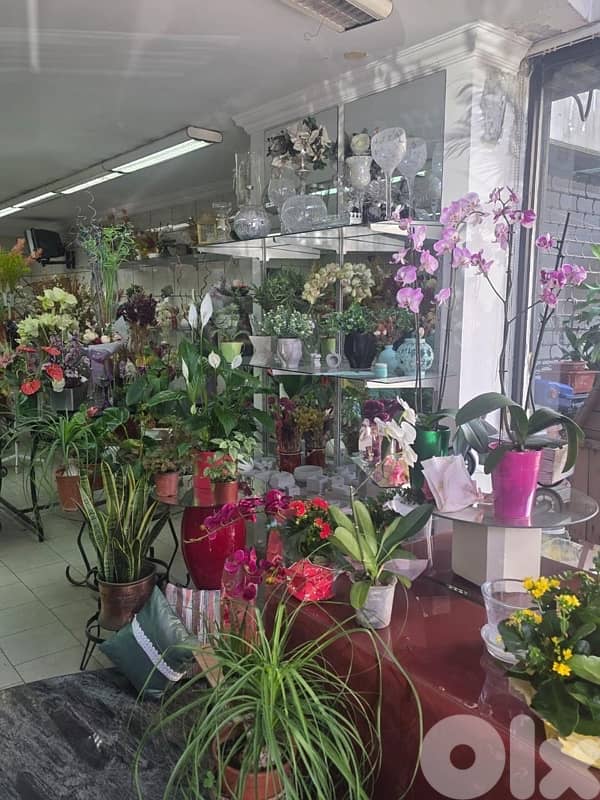 plants, vases , tables…. . ( negotiable prices, asaar jemle) 8