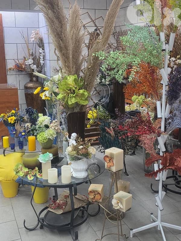plants, vases , tables…. . ( negotiable prices, asaar jemle) 11