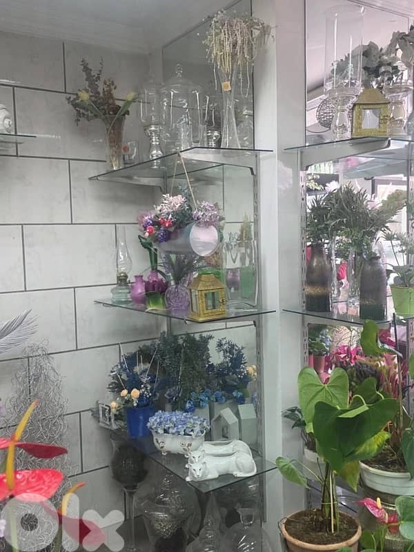 plants, vases , tables…. . ( negotiable prices, asaar jemle) 12