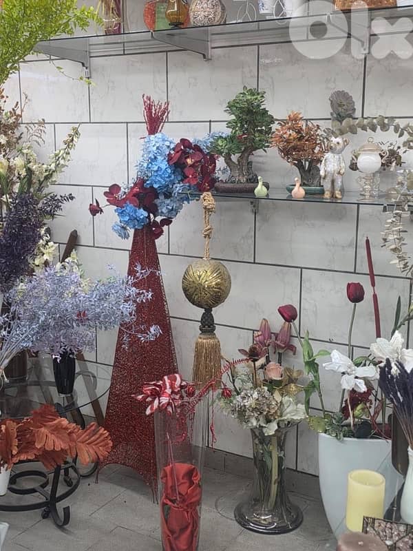 plants, vases , tables…. . ( negotiable prices, asaar jemle) 13
