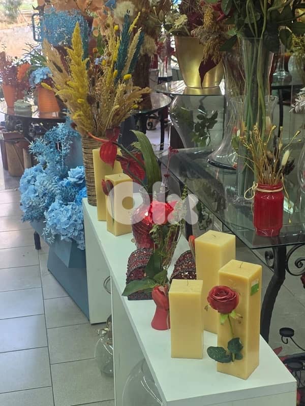 plants, vases , tables…. . ( negotiable prices, asaar jemle) 14