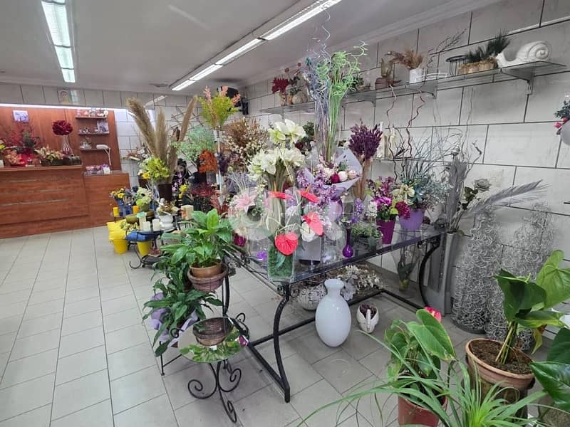 plants, vases , tables…. . ( negotiable prices, asaar jemle) 15
