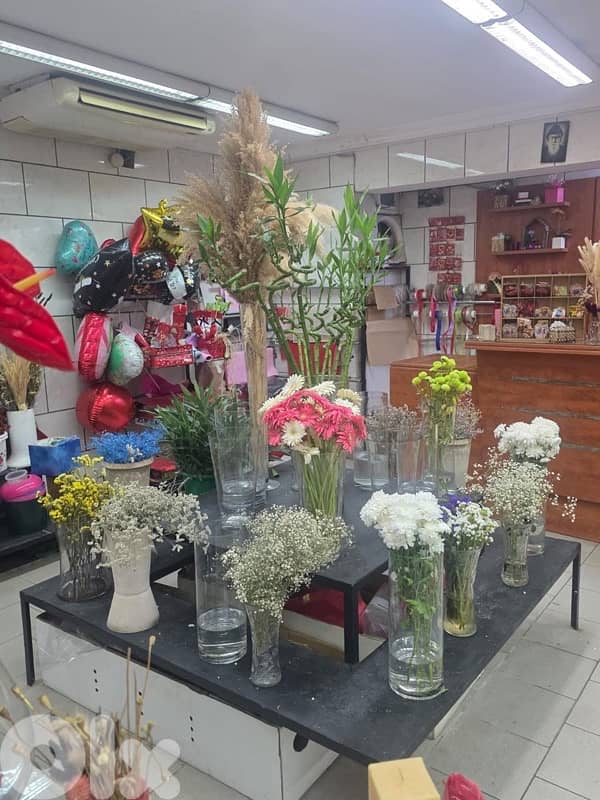 plants, vases , tables…. . ( negotiable prices, asaar jemle) 16