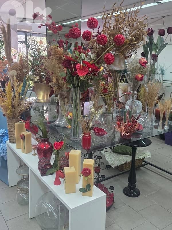 plants, vases , tables…. . ( negotiable prices, asaar jemle) 17