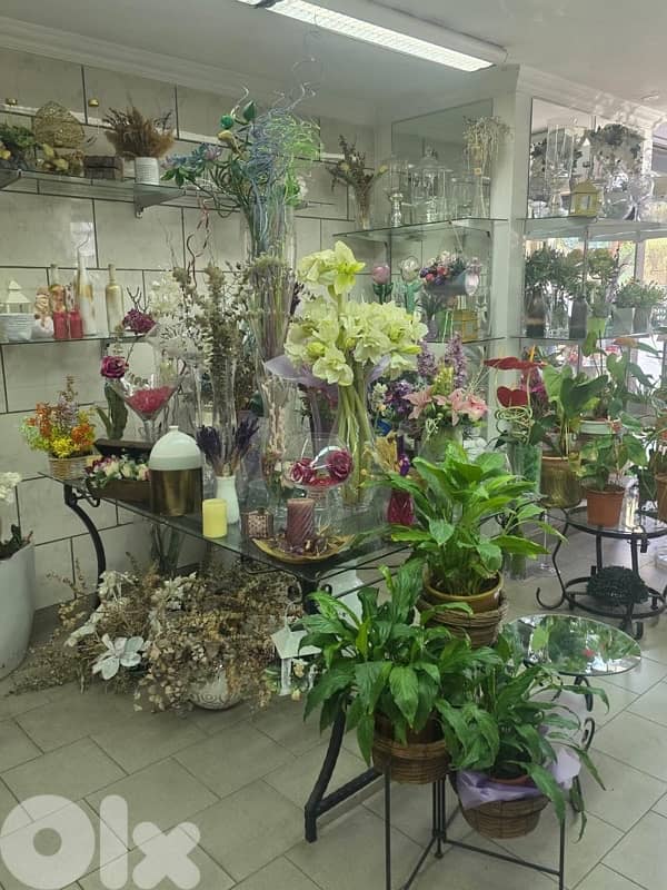 plants, vases , tables…. . ( negotiable prices, asaar jemle) 18