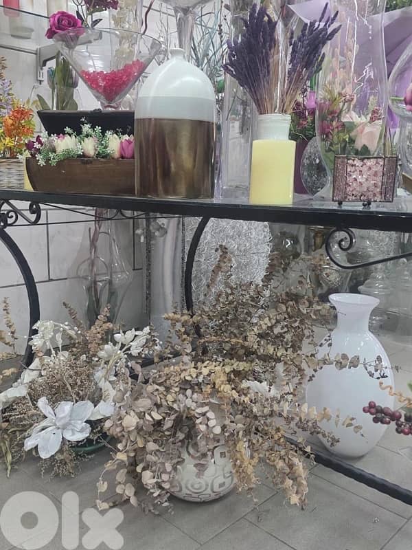 plants, vases , tables…. . ( negotiable prices, asaar jemle) 19