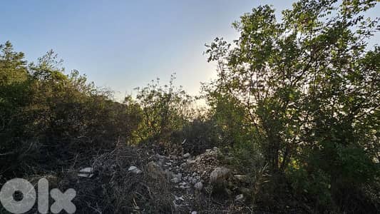 RWB512EA - Land for sale in Halat Jbeil