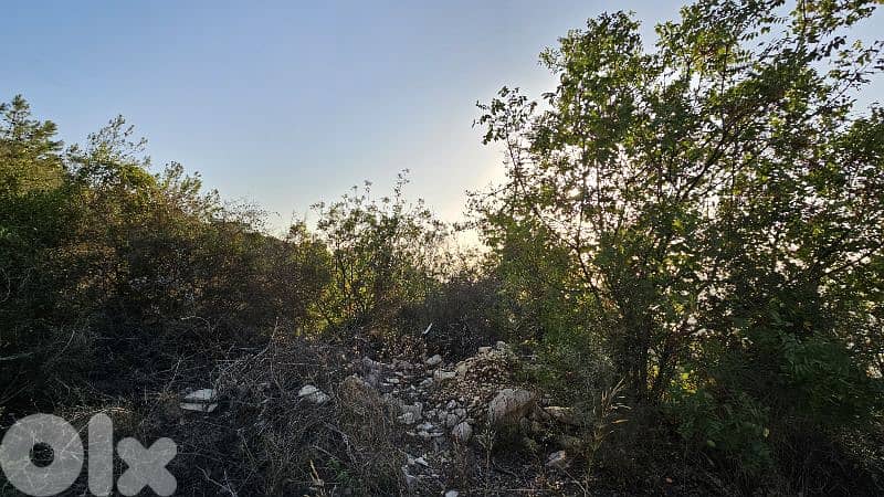 RWB512EA - Land for sale in Halat Jbeil 0