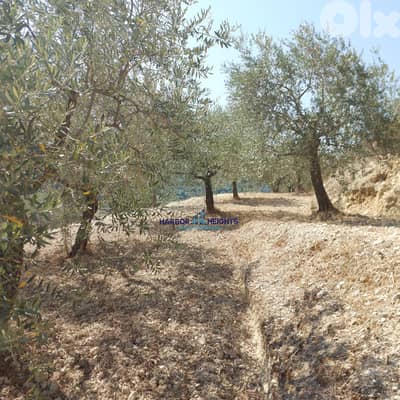 Land for sale kfarhay, Batroun  أرض للبيع في كفرحي، البترون