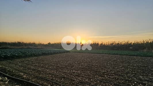 RWB518EA - Land for sale in Tabarja