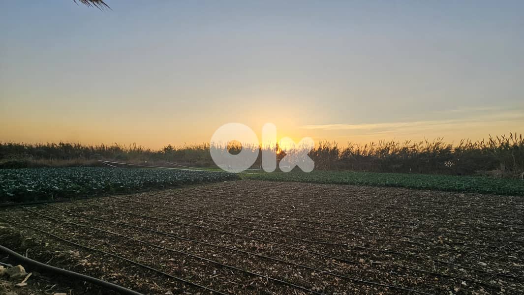 RWB518EA - Land for sale in Tabarja 0