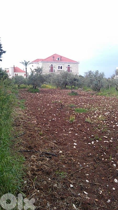 Land in Villa Zone for Sale- Amchit 0