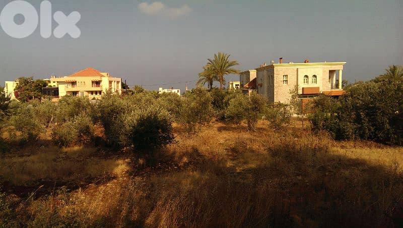 Land in Villa Zone for Sale- Amchit 1