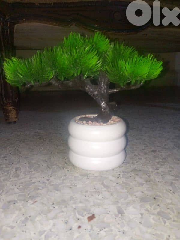 نباتات الزينة اصطناعية 0