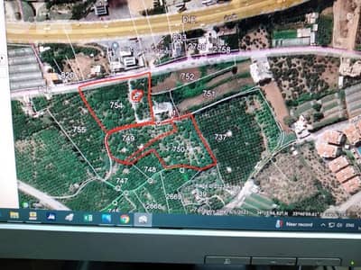 land for sale in safra أرض للبيع في الصفرا