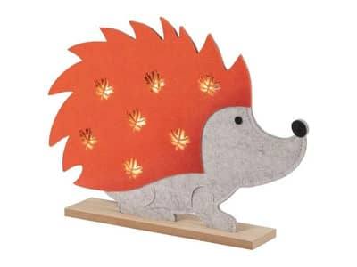 The LIVARNO Home LED Autumn Decoration . . .