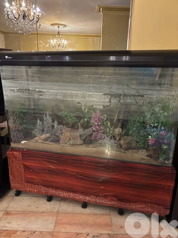Luxurious Fish Aquarium 1
