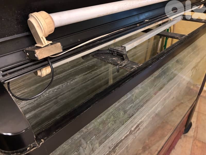 Luxurious Fish Aquarium 3