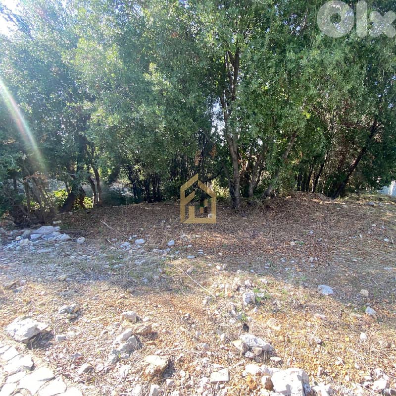 Land for sale in Sehaileh GH191 أرض للبيع في السهيلة 1