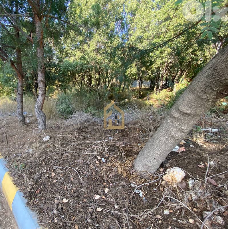 Land for sale in Sehaileh GH191 أرض للبيع في السهيلة 2