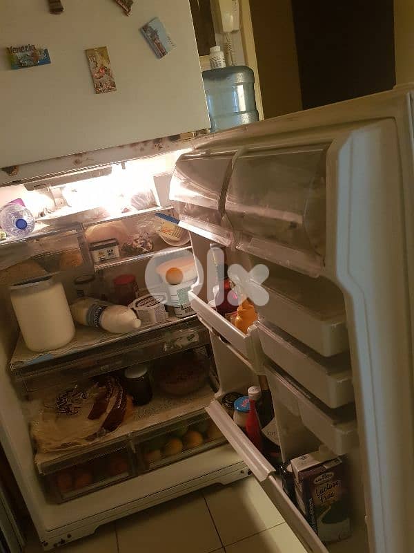 electrolux refrigerate 1