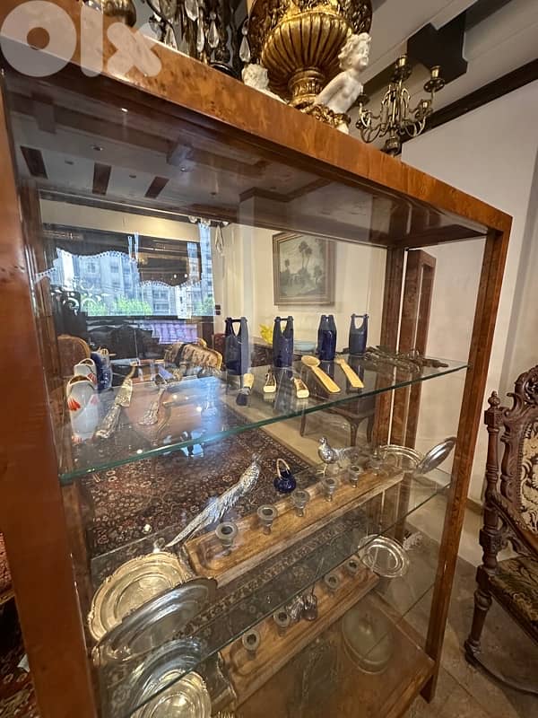 Czech Biedermeier Display Cabinet in Walnut and Spruce, 1830s 7