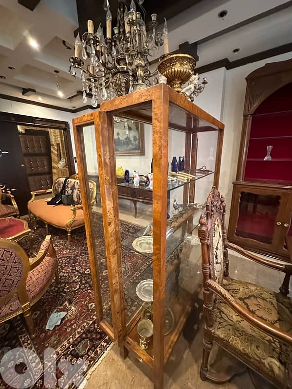 Czech Biedermeier Display Cabinet in Walnut and Spruce, 1830s 13