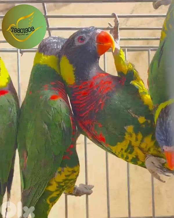 لوري مع DNA صور DNA موجودة 5