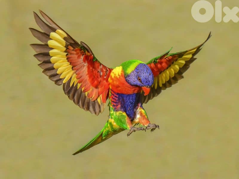 لوري مع DNA صور DNA موجودة 6